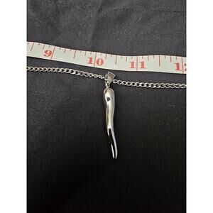 Cornicello Silver ToneItalian horn pendant on a 1.5mm 24in Stainless steel chain